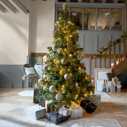 Weihnachtsbaum Aure Weihnachtsbaum Aure