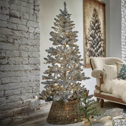 Weihnachtsbaum Sansais Weihnachtsbaum Sansais