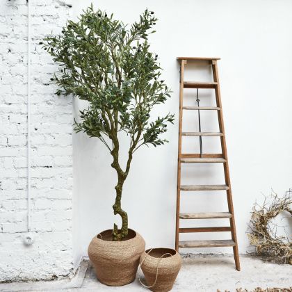 Deko-Topfpflanze Dambly Deko-Topfpflanze Dambly