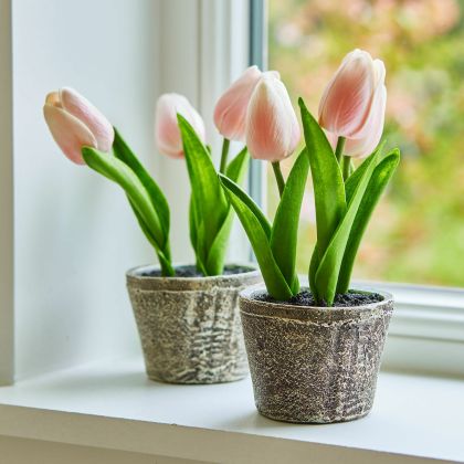 Deko-Tulpe 2er Set Zéphine Deko-Tulpe 2er Set Zéphine