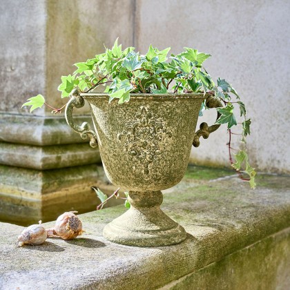 Amphore Ivyridge Amphore Ivyridge