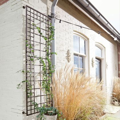 Rankgitter Sulfolk Rankgitter Sulfolk