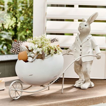 Hase Jaris Hase Jaris