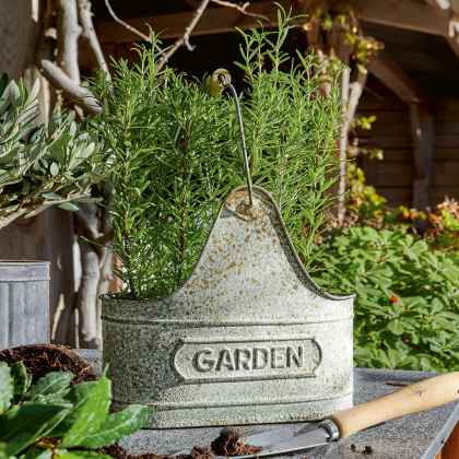 Korb Garden Korb Garden