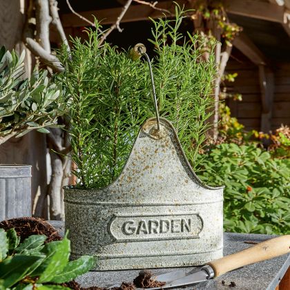 Korb Garden Korb Garden