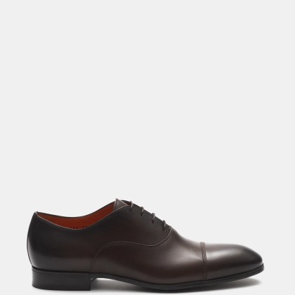 Santoni - Herren - Oxford dunkelbraun Santoni - Herren - Oxford dunkelbraun