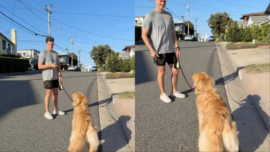 Dog Beats Dad in ‘Loyalty Test’ for Mom Dog Beats Dad in ‘Loyalty Test’ for Mom