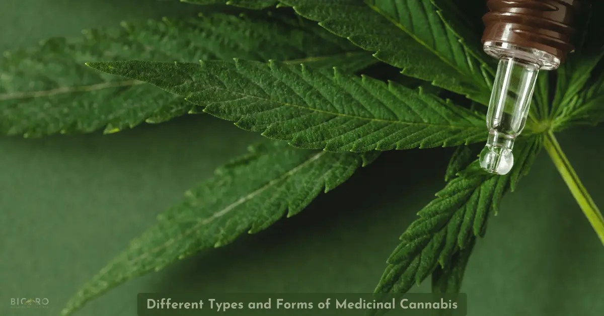 Different Types and Forms of Medicinal Cannabis: What You Need to Know Different Types and Forms of Medicinal Cannabis: What You Need to Know