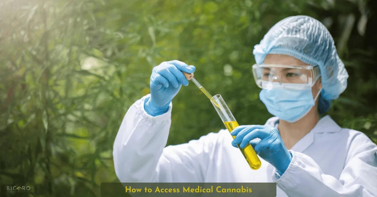 How to Access Medical Cannabis: A Comprehensive Guide How to Access Medical Cannabis: A Comprehensive Guide