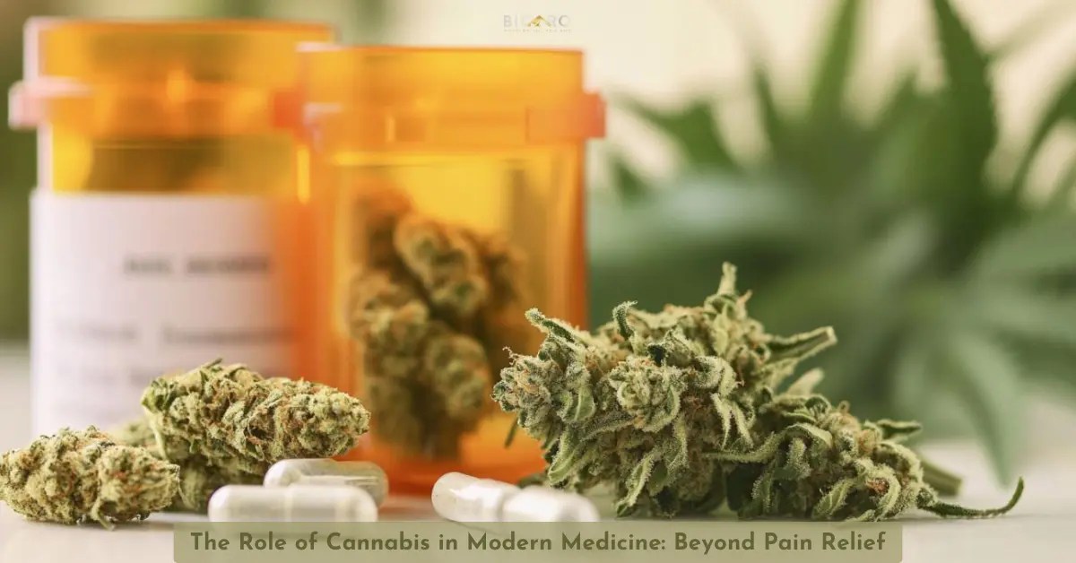 The Role of Cannabis in Modern Medicine The Role of Cannabis in Modern Medicine