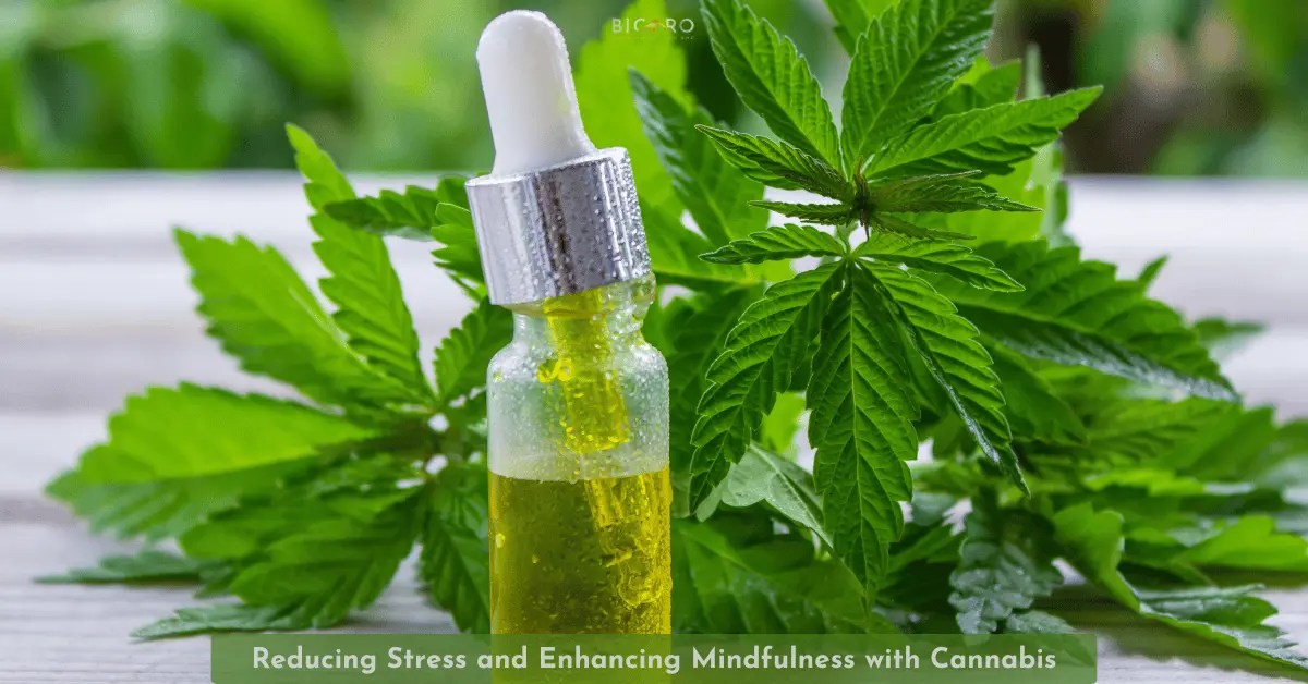Reducing Stress and Enhancing Mindfulness with Cannabis Reducing Stress and Enhancing Mindfulness with Cannabis