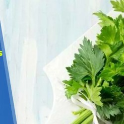 Rahasia Rebung Empuk Cara Merebus Rebung Yang Benar Rahasia Rebung Empuk Cara Merebus Rebung Yang Benar