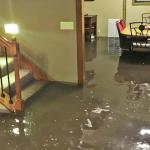 Restoring Beauty and Safety: Water Damage Restoration in Springfield Restoring Beauty and Safety: Water Damage Restoration in Springfield