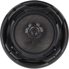 6.5″/16 Cm In Diameter Speaker