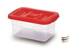 Box With Cover Cm.29x20x14h Lt.4