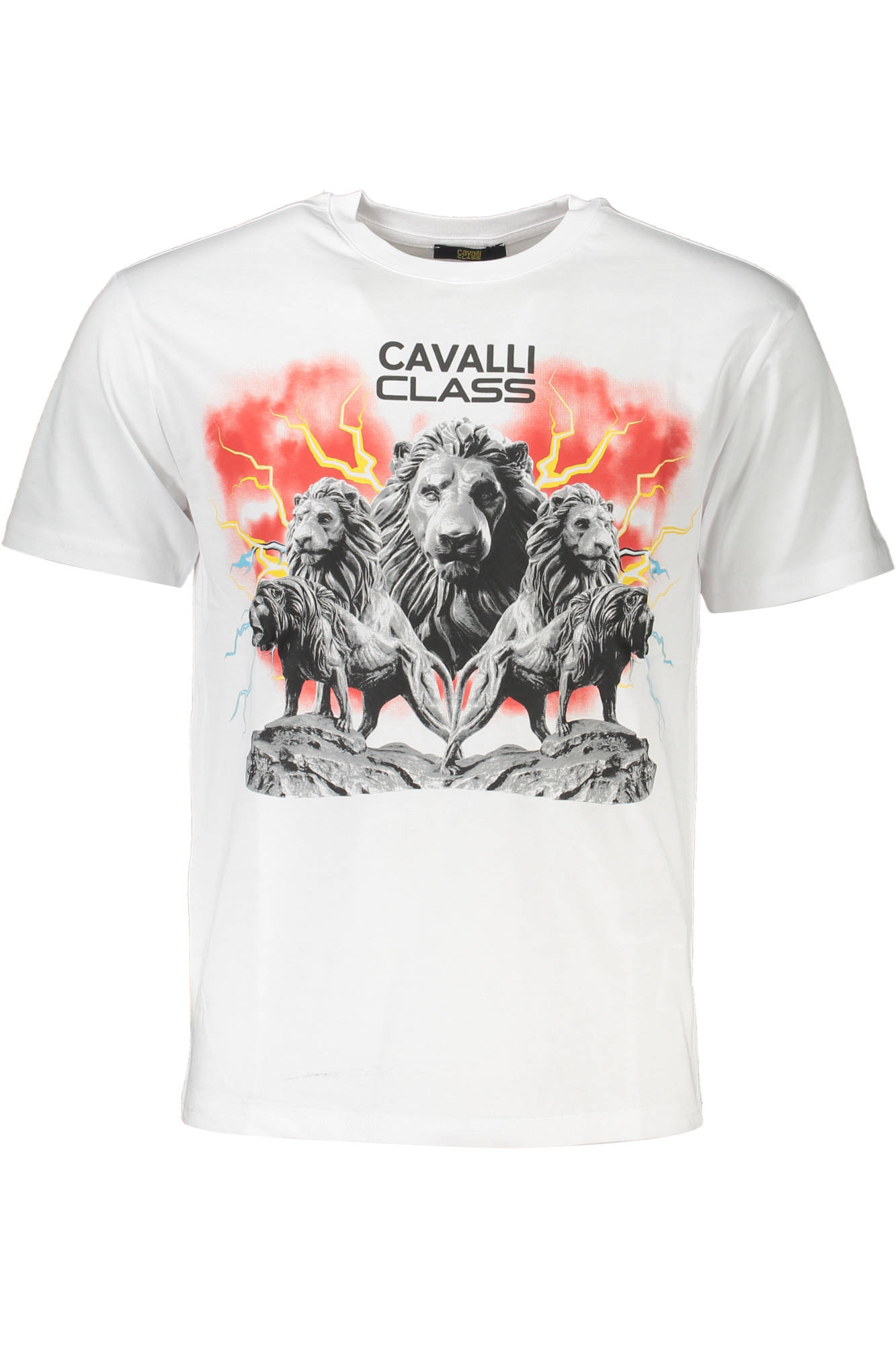 CAVALLI CLASS SHORT SLEEVE T-SHIRT MEN WHITE CAVALLI CLASS SHORT SLEEVE T-SHIRT MEN WHITE