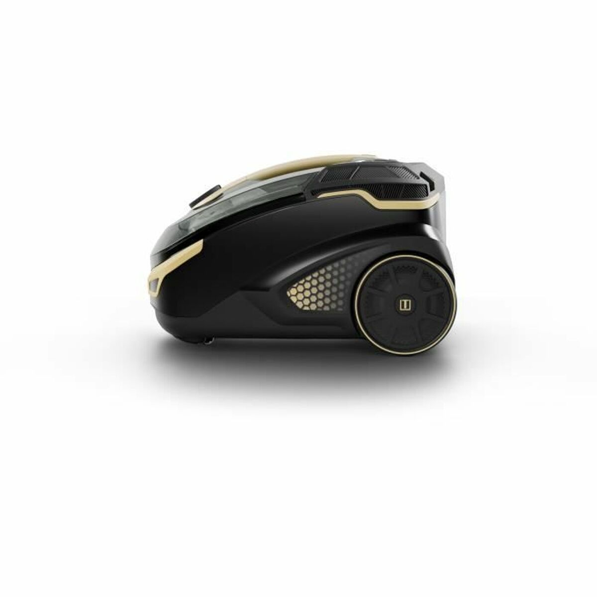 vacuum cleaner Thomas Amfibia Pro Evo 1700 W