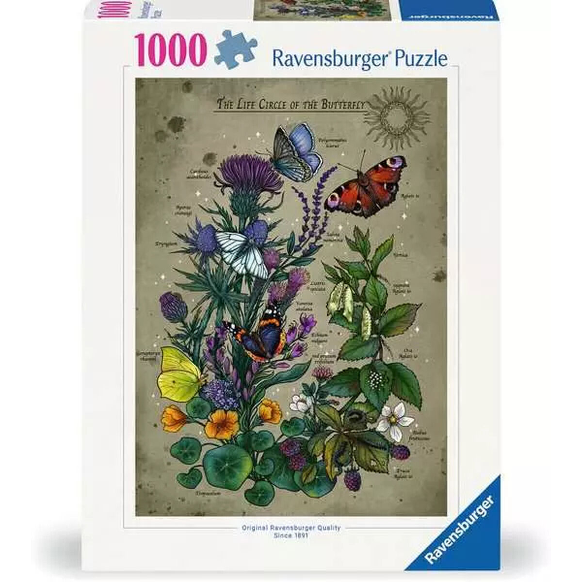 Puzzle Ravensburger The Life Circle of the Butterfly 1000 Pieces