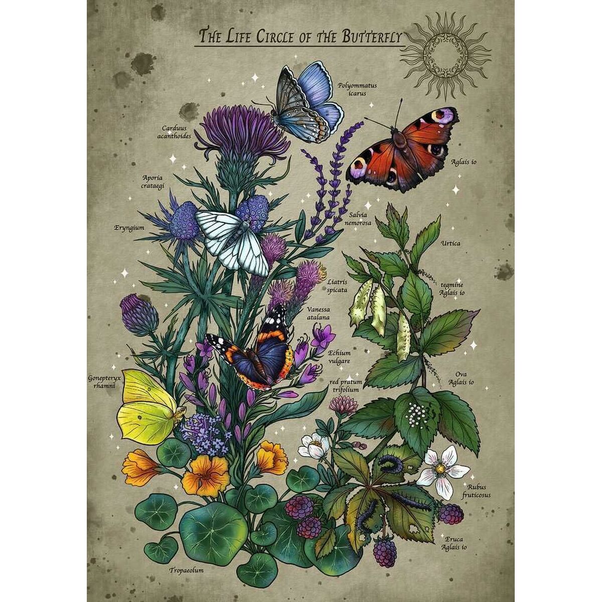 Puzzle Ravensburger The Life Circle of the Butterfly 1000 Pieces