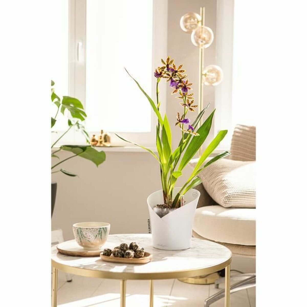 Plant pot Lechuza White