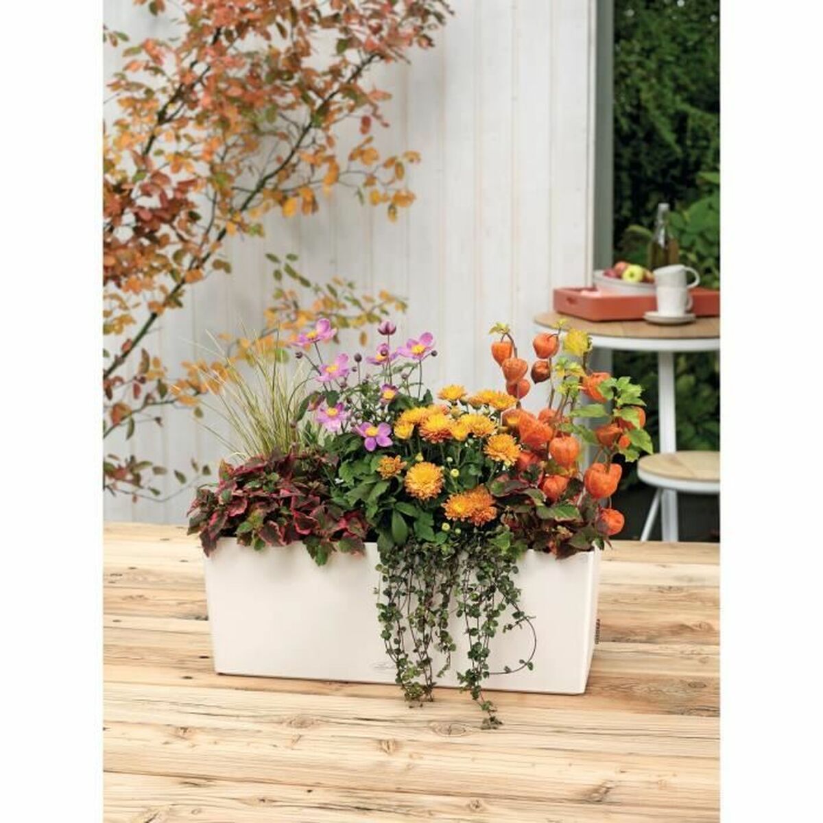 Plant pot Lechuza White Black polypropylene