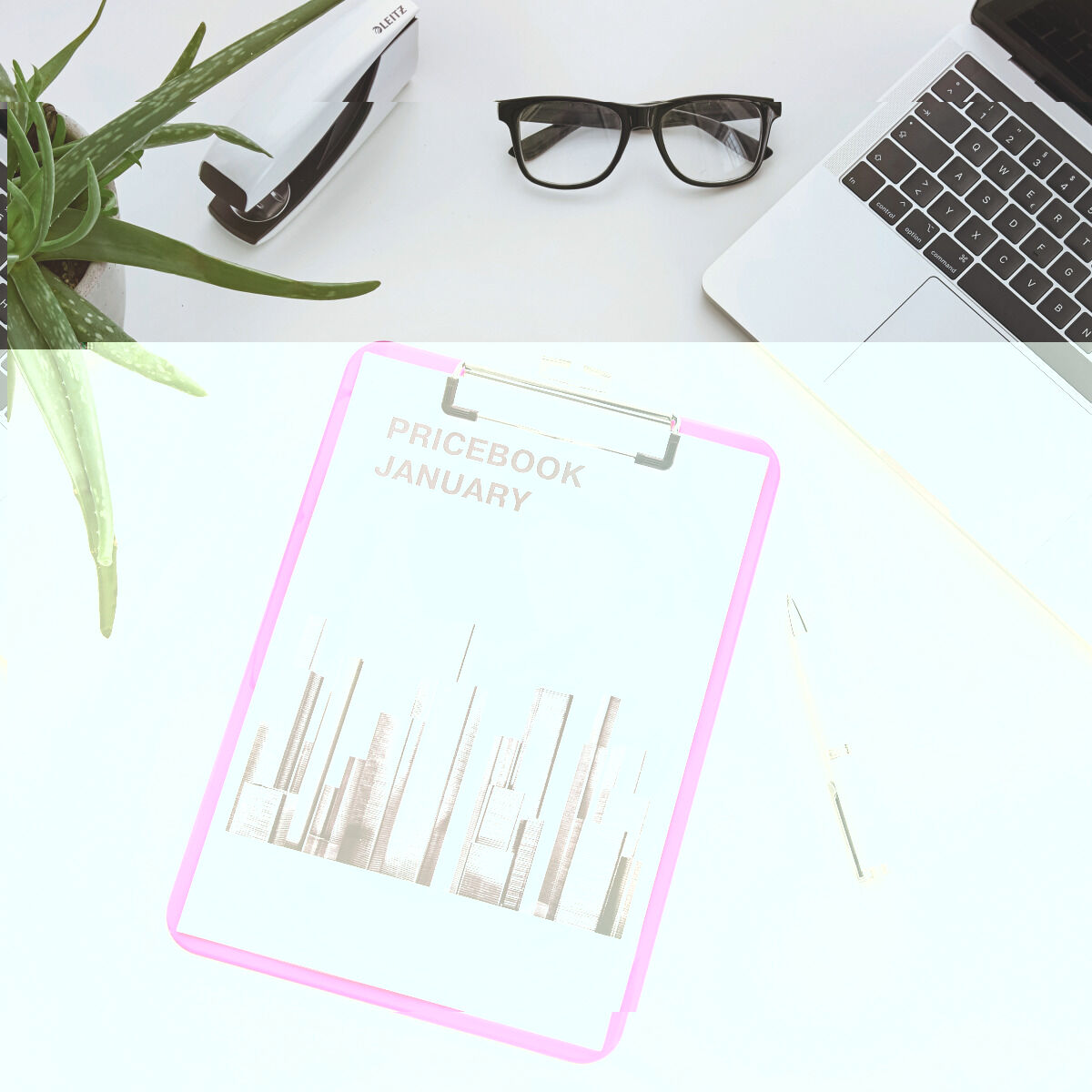 Folder Leitz Pink A4