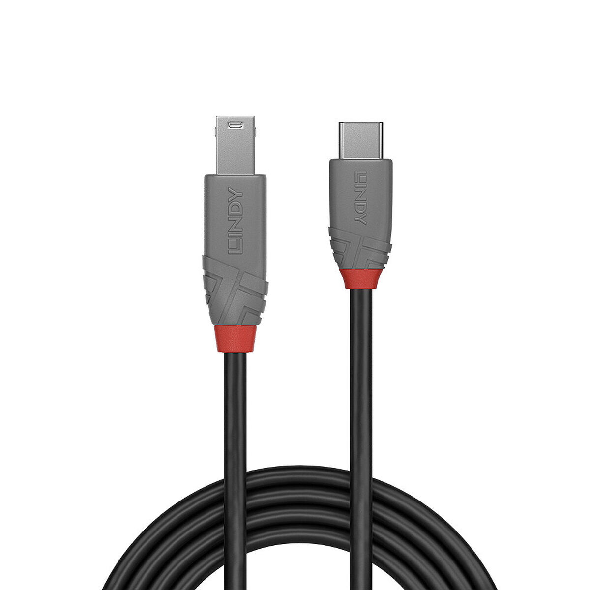 USB-C to USB B Cable LINDY 36665 50 cm Black