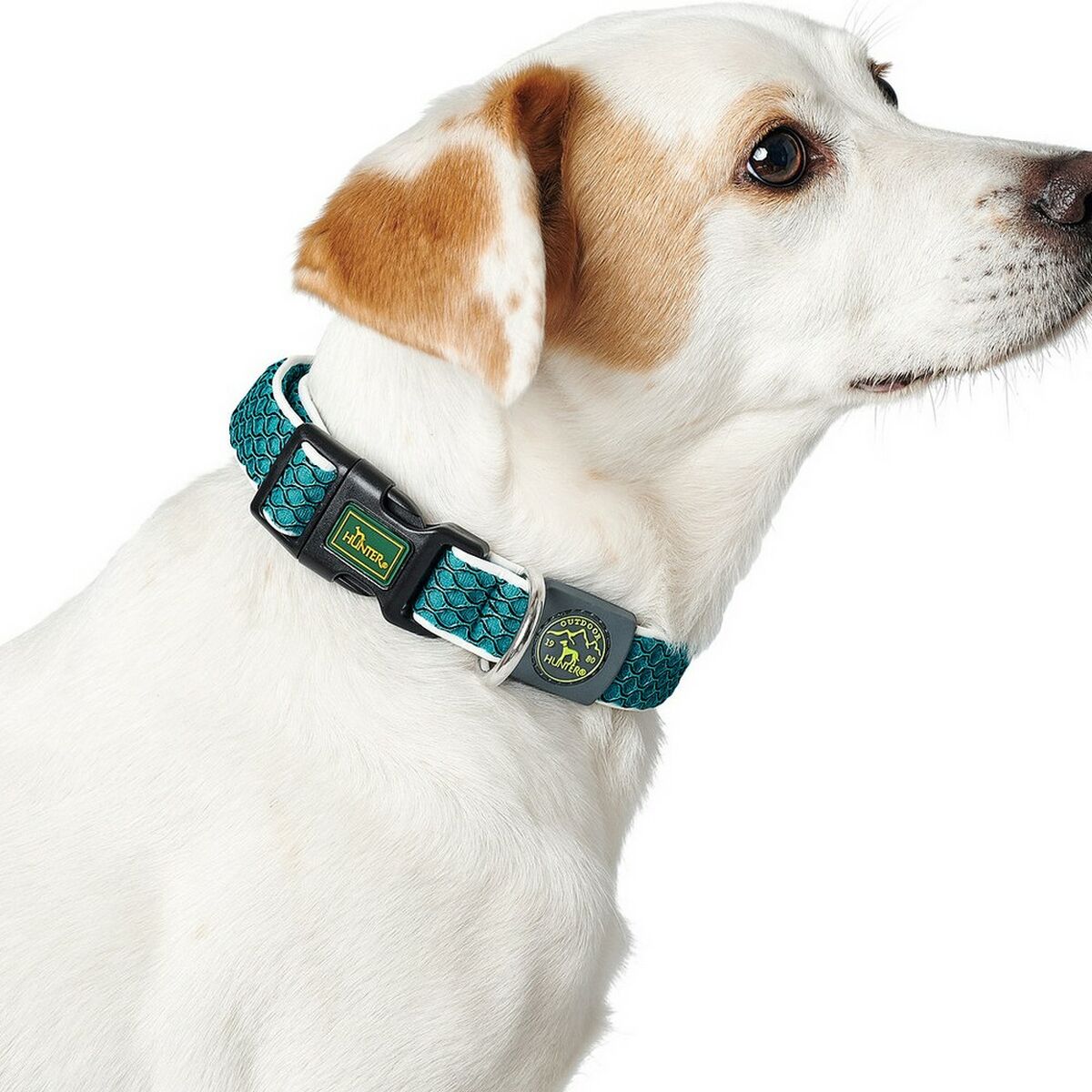 Dog collar Hunter Basic Thread Size M Lime (33-50 cm) Dog collar Hunter Basic Thread Size M Lime (33-50 cm)