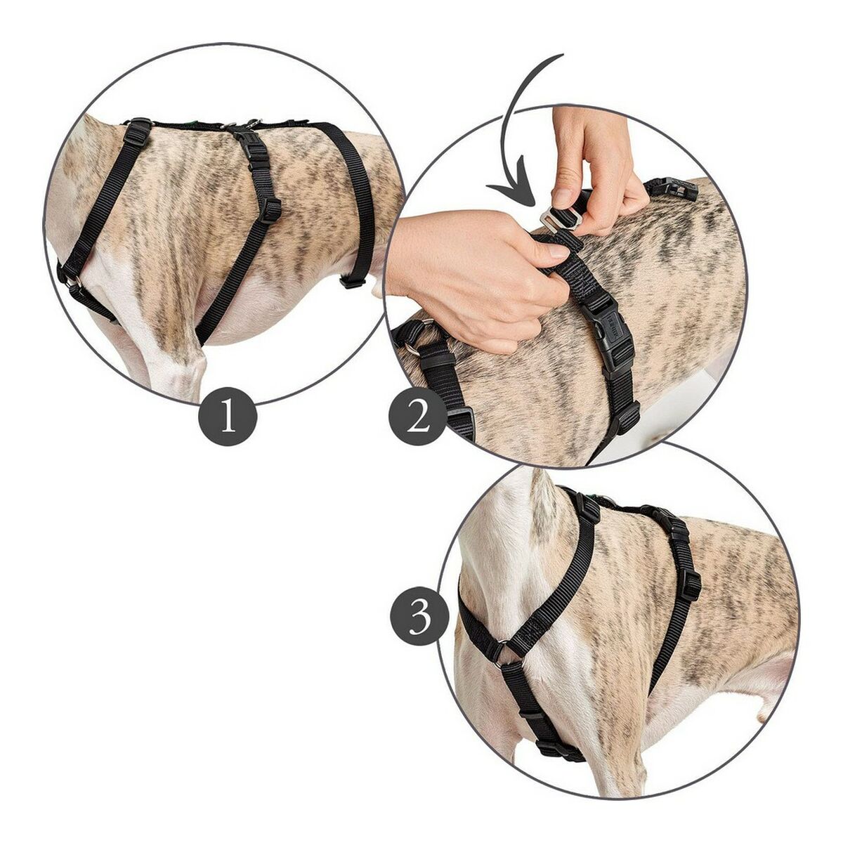 Dog Harness Hunter 48-70 cm Black S/M Dog Harness Hunter 48-70 cm Black S/M