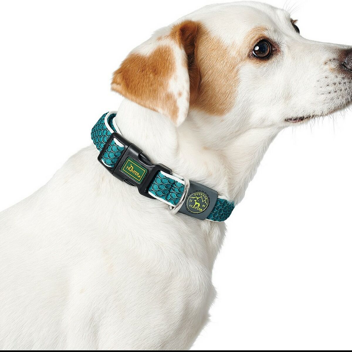 Dog collar Hunter Basic Thread Blue Size M (33-50 cm) Dog collar Hunter Basic Thread Blue Size M (33-50 cm)