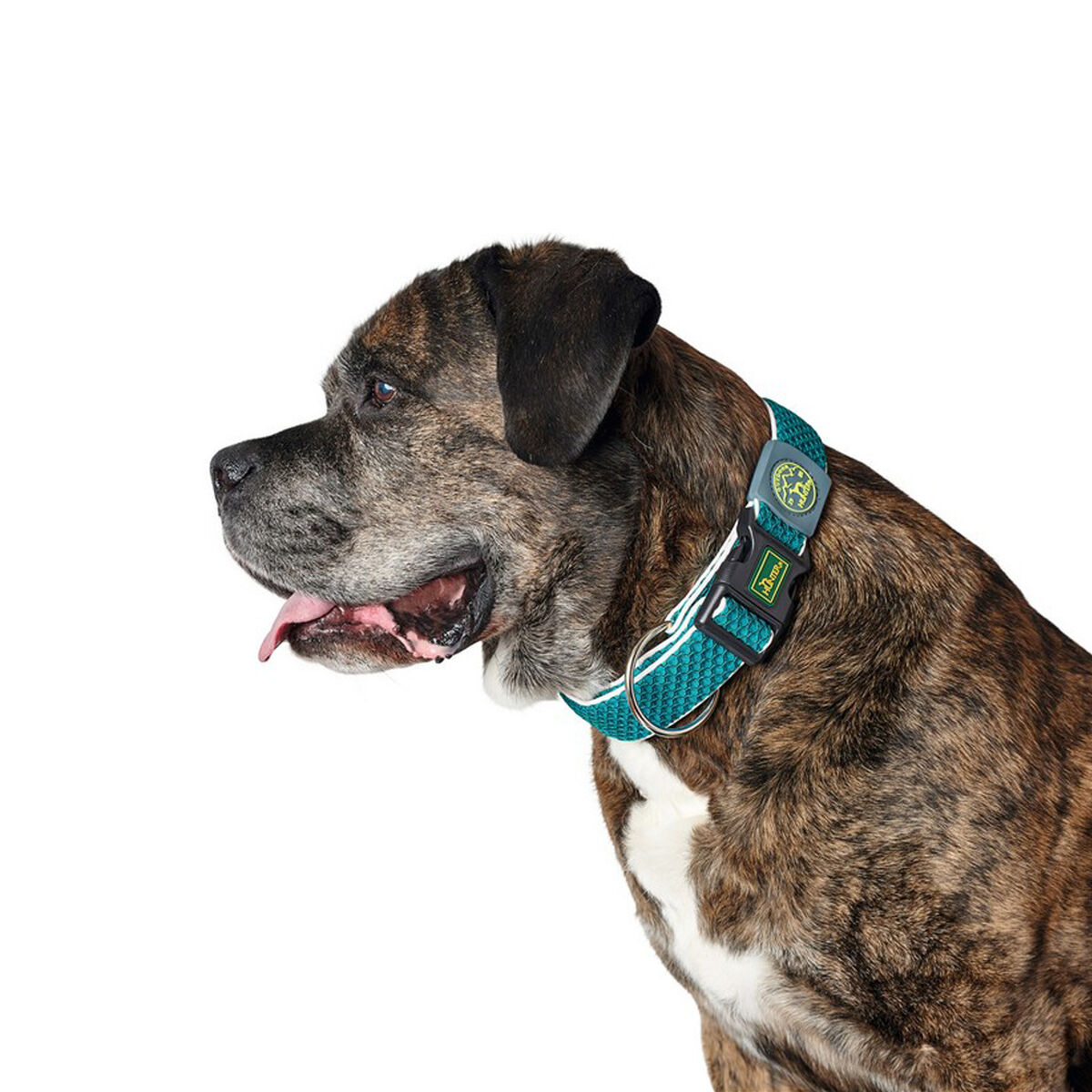 Dog collar Hunter Plus Thread turquoise Turquoise Size XL (45-70 cm) Dog collar Hunter Plus Thread turquoise Turquoise Size XL (45-70 cm)