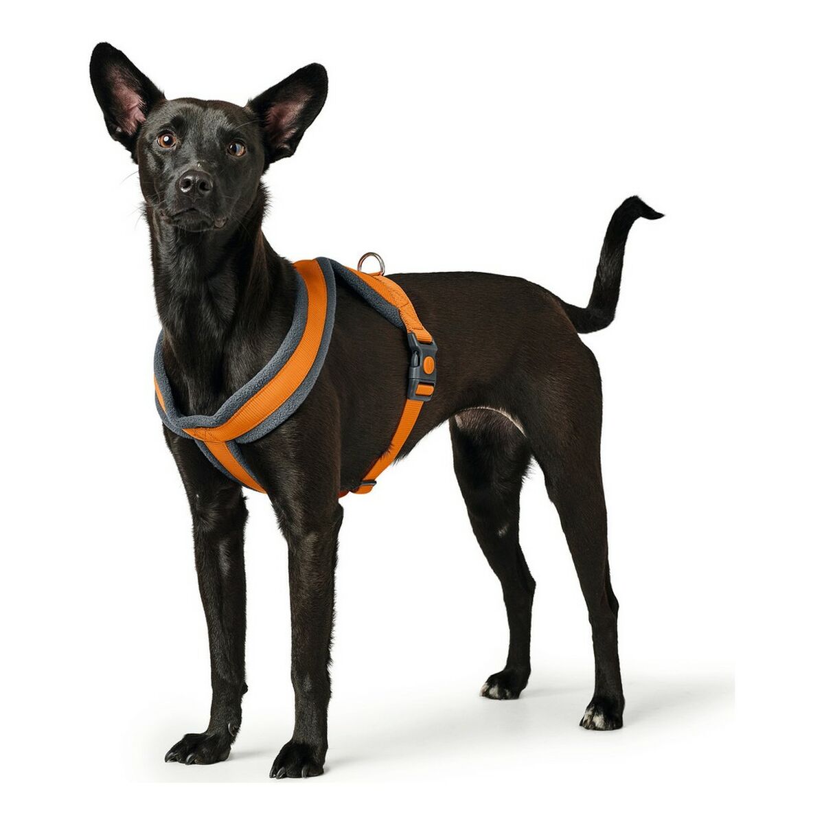 Dog Harness Hunter London Comfort 39-47 cm Orange XS/S Dog Harness Hunter London Comfort 39-47 cm Orange XS/S
