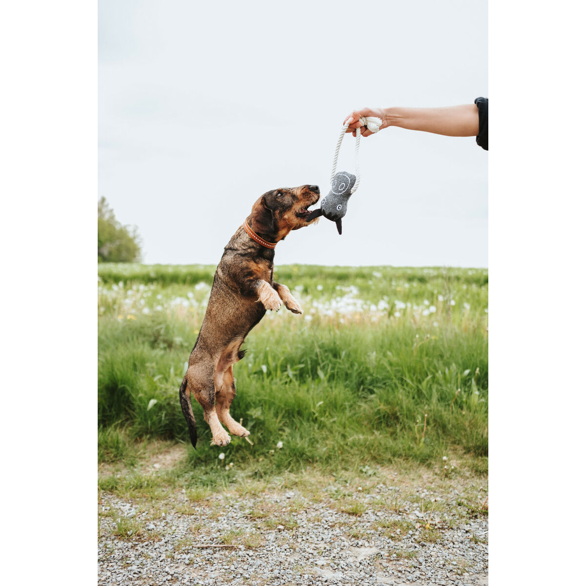 Dog toy Hunter NEBRASKA Grey Polyester Horse