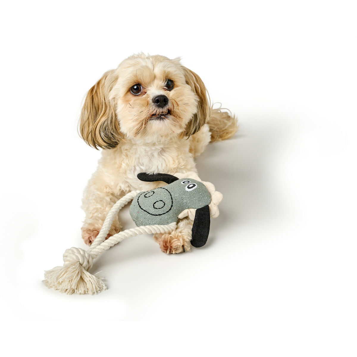 Dog toy Hunter NEBRASKA Blue Ship