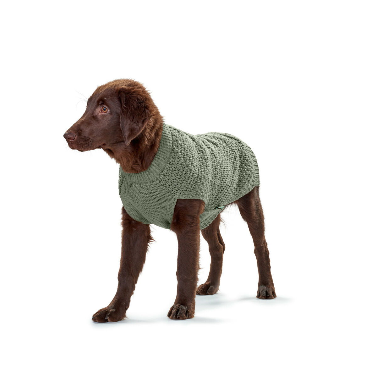 Dog Jumper Hunter Malmö Green Dog Jumper Hunter Malmö Green
