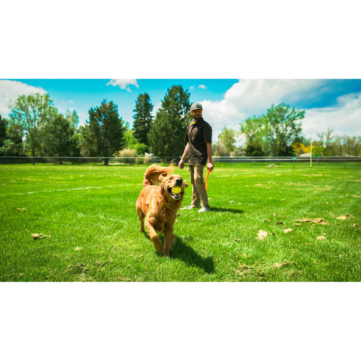 Ball Launcher for Dogs Hunter Yellow Orange Rubber Ball