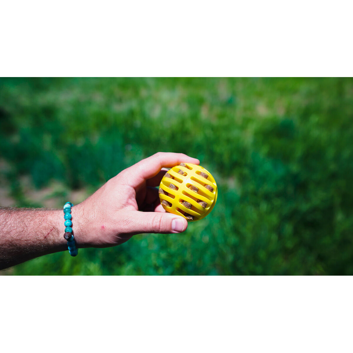 Ball Launcher for Dogs Hunter Yellow Orange Rubber Ball