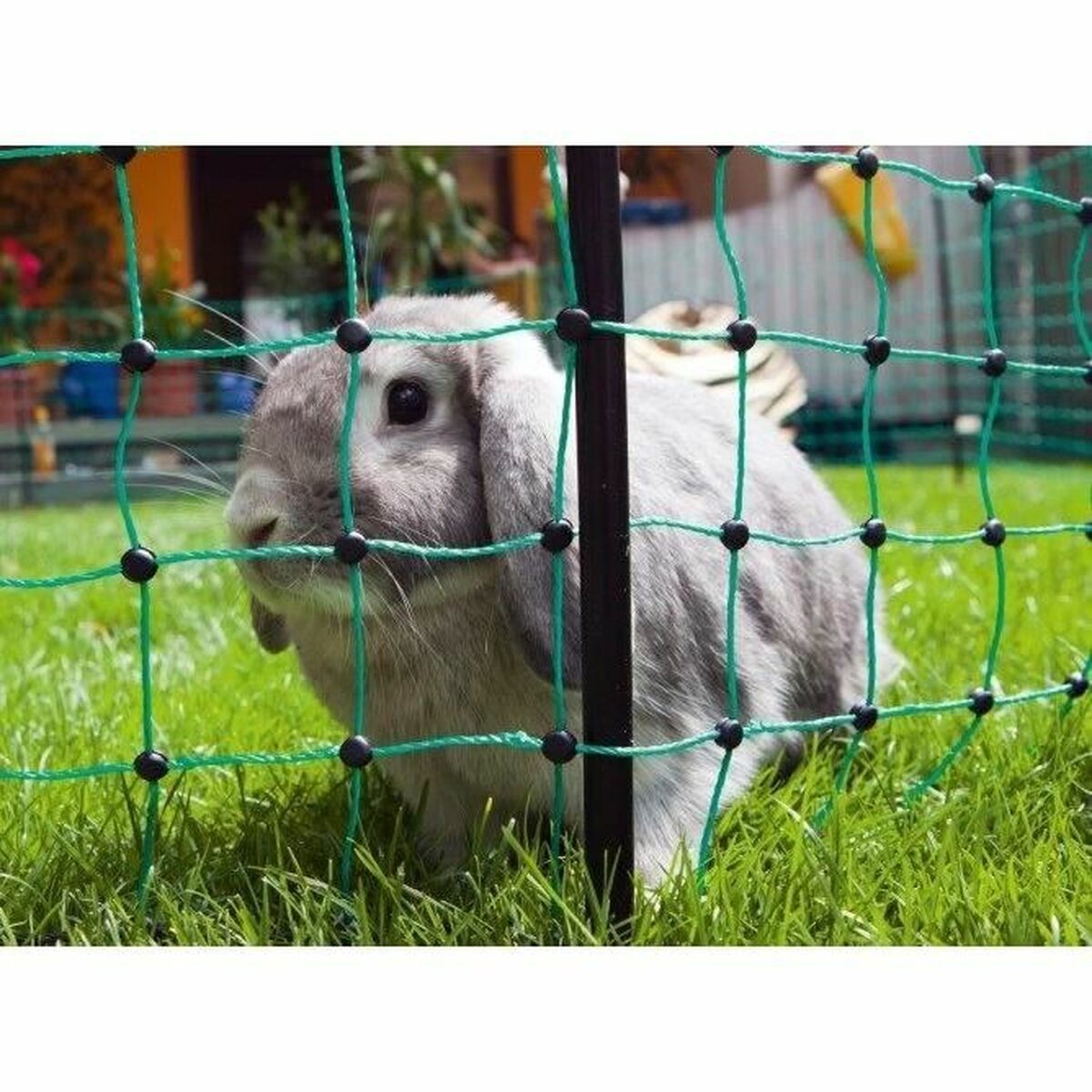 Safety Net for Pets Kerbl Green Stainless steel Steel