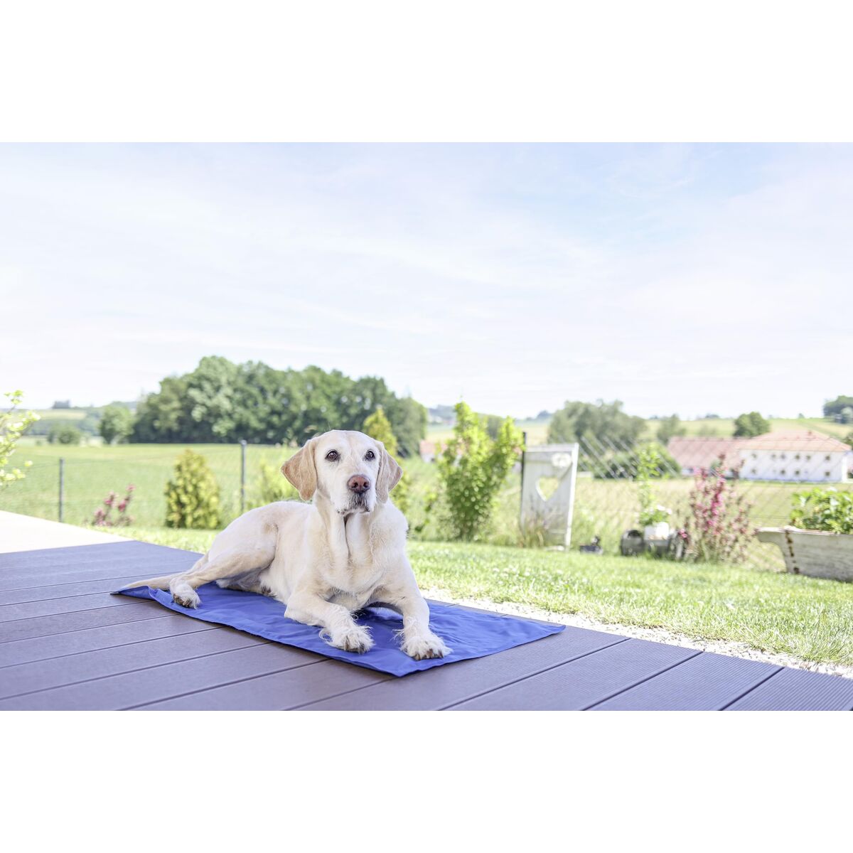 Dog Bed Kerbl Blue