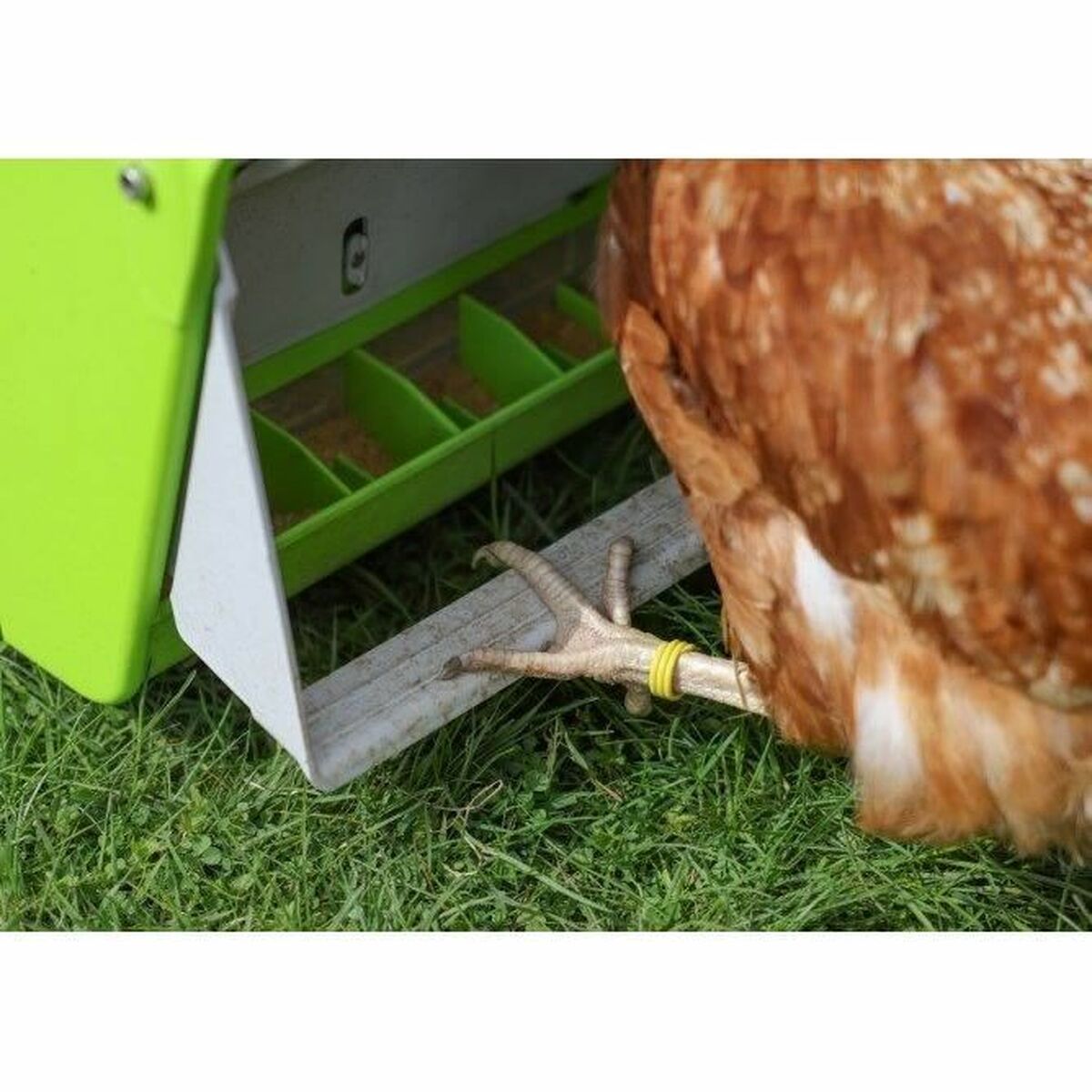Automatic feeder Kerbl Metal