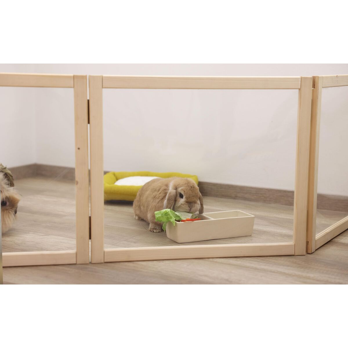 Dividers Kerbl Plexigls Plastic