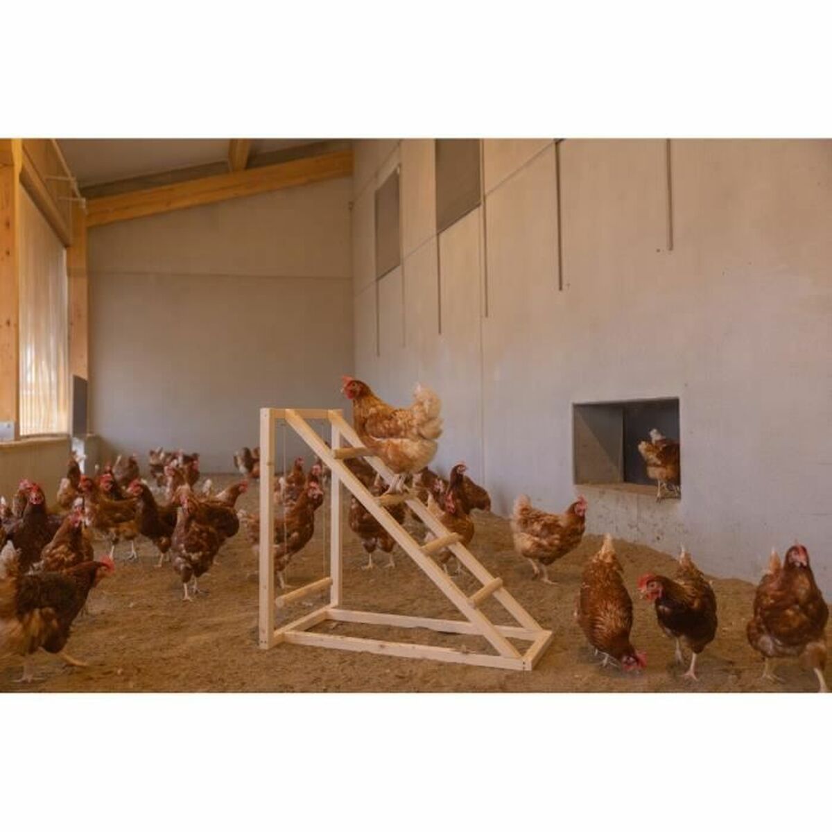 Staircase Kerbl Beige 85 x 55 x 76 cm Chicken