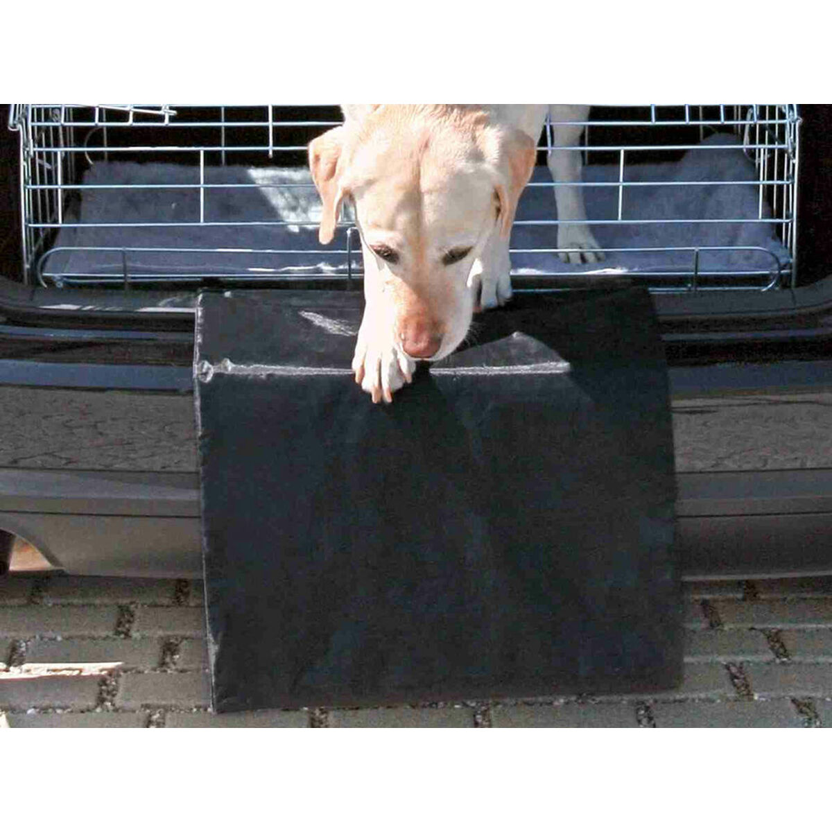 Protective Car Cover for Pets Trixie Black 50 × 70 cm