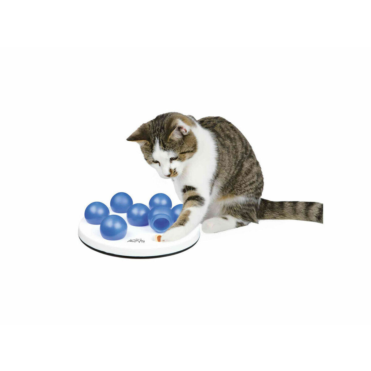 Games Mat and Rewards for Pets Trixie Games Mat and Rewards for Pets Trixie