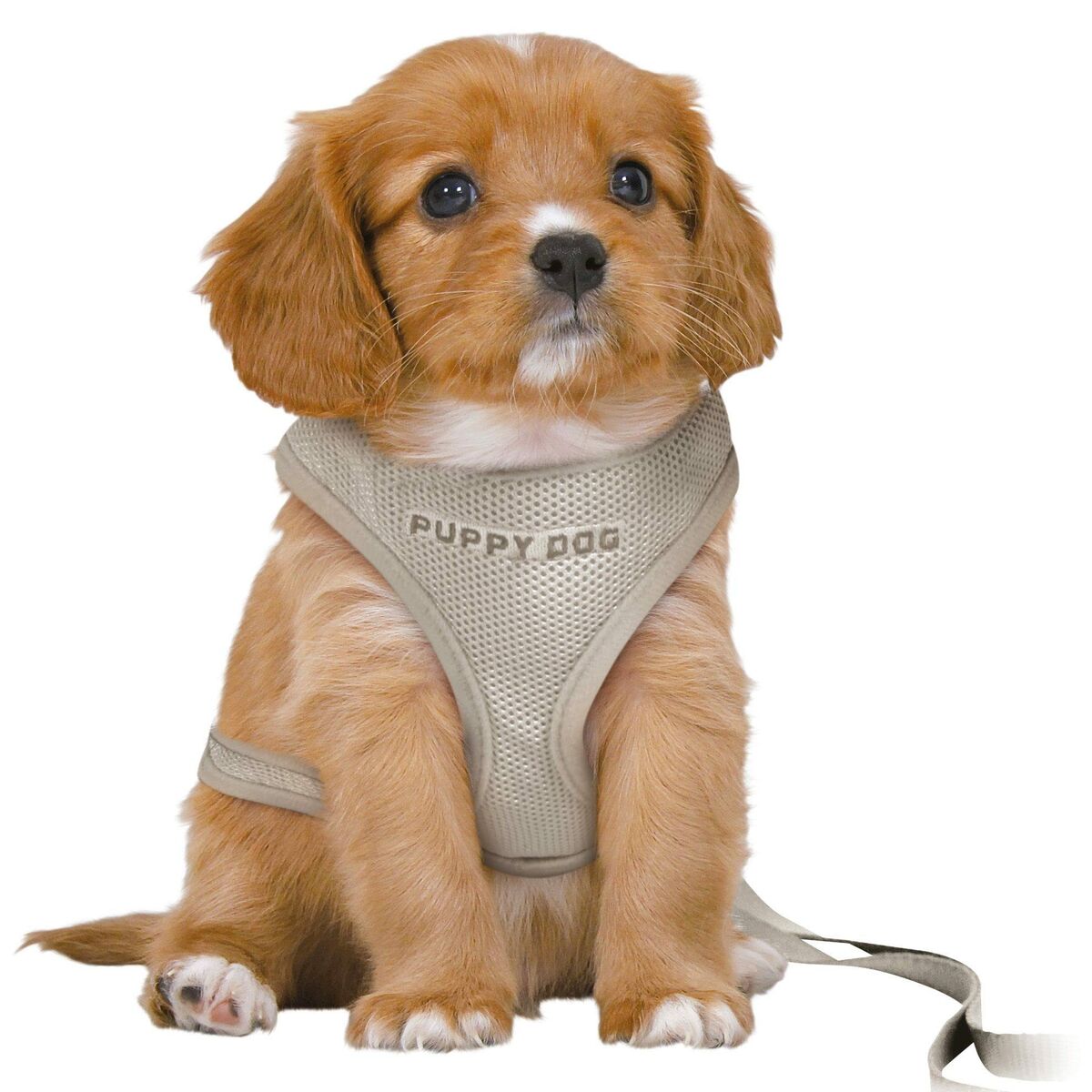 Dog Harness Trixie Junior Light grey M/L Dog Harness Trixie Junior Light grey M/L