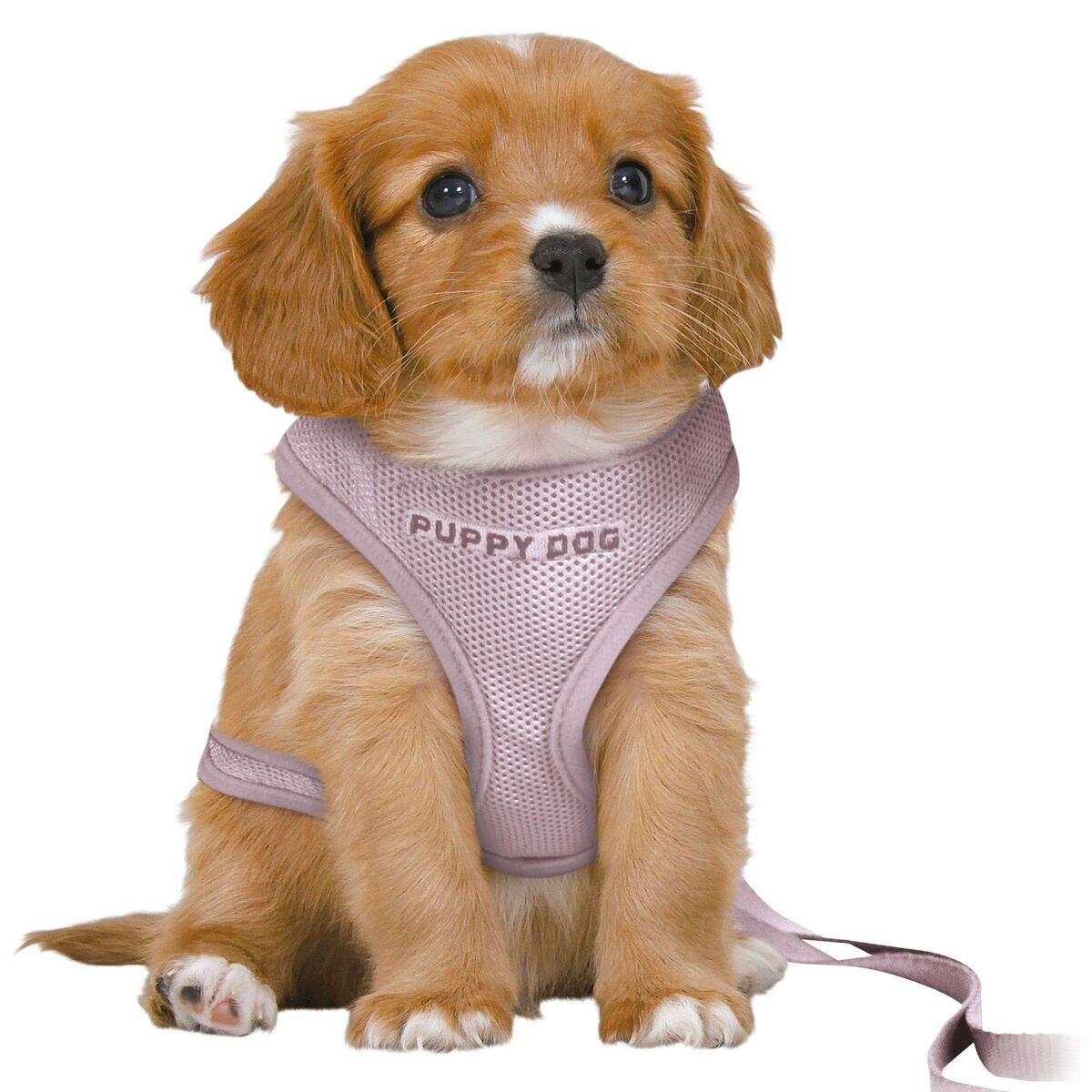 Dog Harness Trixie Junior Lilac M/L Dog Harness Trixie Junior Lilac M/L