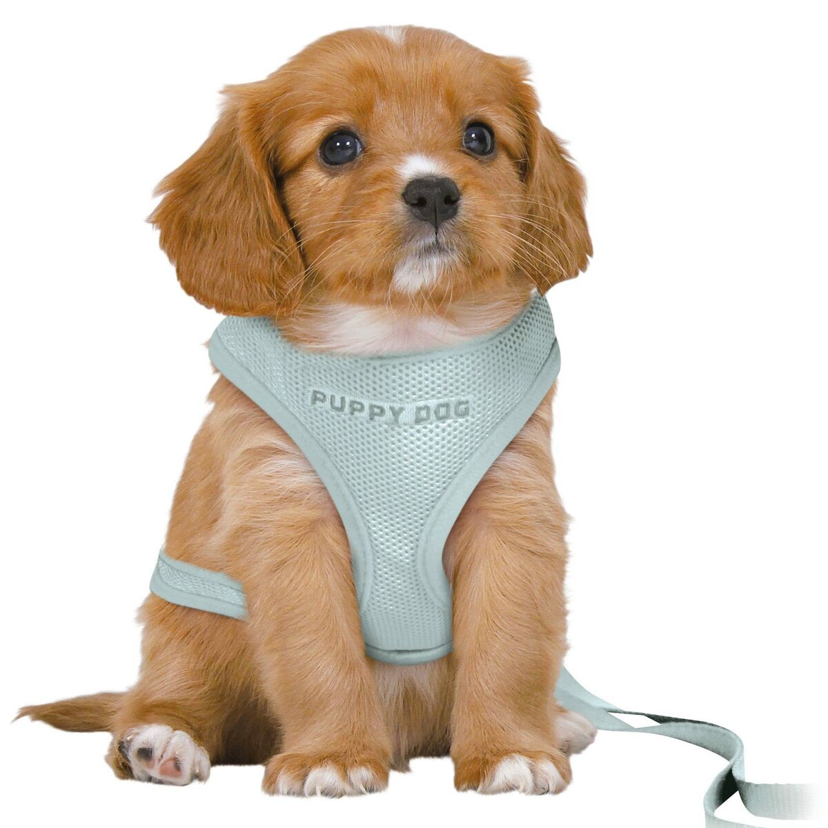 Dog Harness Trixie Junior Mint M/L Dog Harness Trixie Junior Mint M/L
