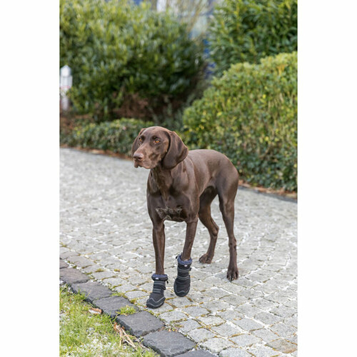 Leg protection walker Trixie Black XL