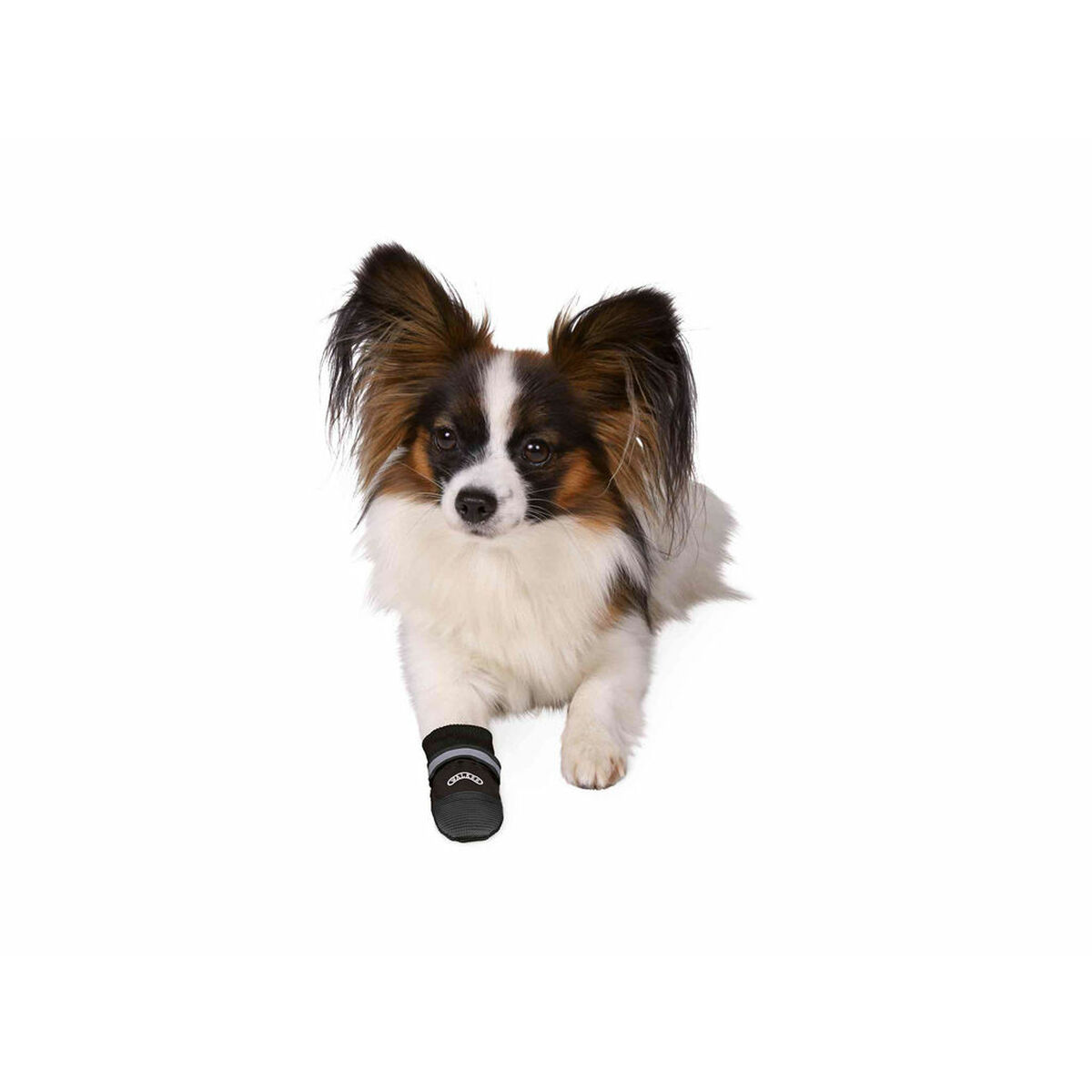 Pet’s clothing Trixie 19471 Black S