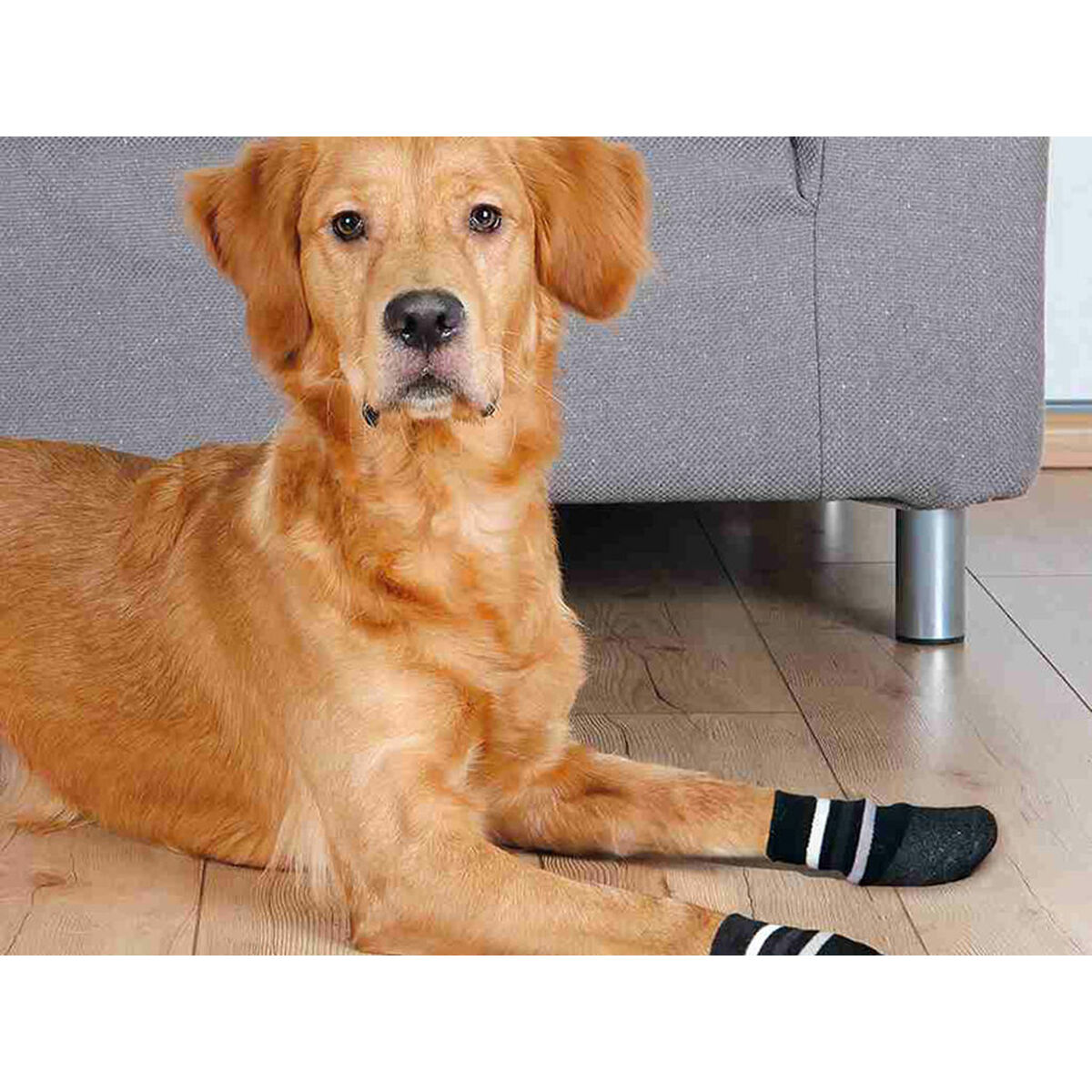 Socks Trixie Black L/XL Dog
